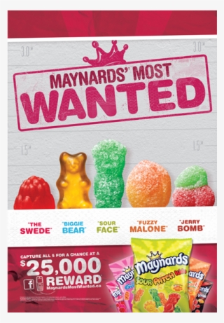 Interacting With Our Tsas Did More Than Launch The - Maynards Most Wanted #4761958