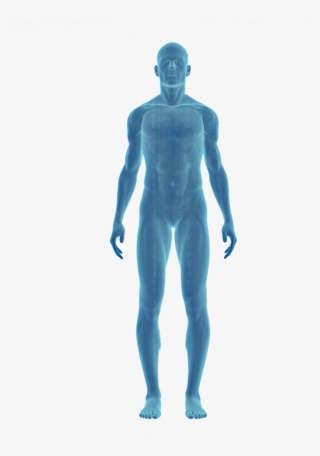 Are You 100% Physically Fit Regarding Your - Quercetin 500mg - Joint Relief, Anti-histamine, Anti-inflammatory #4763171