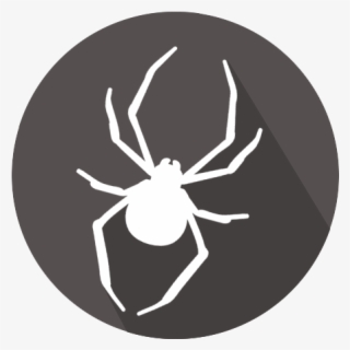 Protect Your Home With Pest Express #4764215