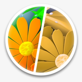 Sim Daltonism On The Mac App Store - Color Blindness #4764566