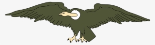 Andean Animal Bird Condor Png Image - Ecuador Flag #4765500