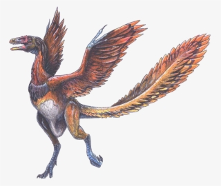 The Oldest Known Bird, Archaeopteryx, Lived 150 Million - Archaeopteryx Lithographica #4765515