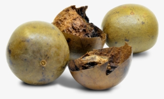 Monk Fruit - Luo Han Guo #4765901