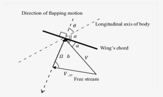 Lateral View Of The Dragonfly - Triangle #4767996