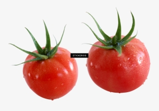 Tomato #4768165
