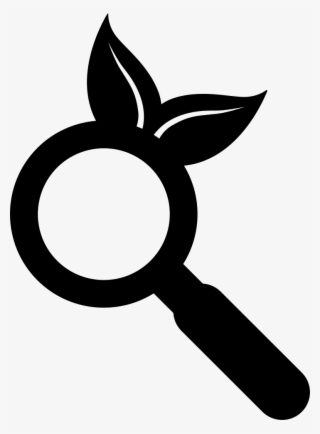 Png File Svg - Magnifying Glass #4769351