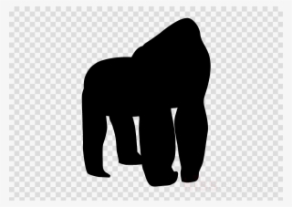 Clipart Resolution 640*640 - White Letter O With Transparent #4769758