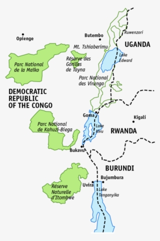 Grauer's Gorilla - Angela Meder #4770083