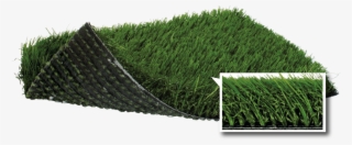 Description - Artificial Turf #4770167