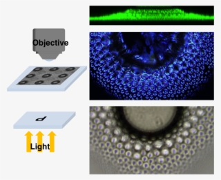 Lee-fabrication Of Magnetic Particles - Magnet #4771043