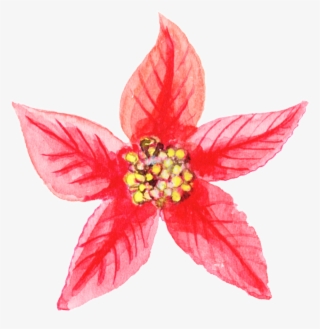 Red Pattern Flower Christmas Png Transparent - Gold Star Png #4771127