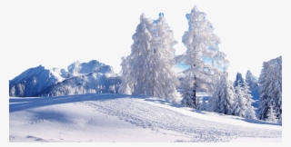 4shared - Com - Winter Scenes #4771625