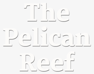 Pelican Reef - American Academy Of Diplomacy #4772607
