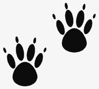 Free Ryan Cliparts Download Free Clip Art Free Clip - Paw Prints #4772811