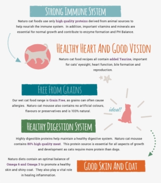 Health Benefits - Health Benefits Of Cats #4773072
