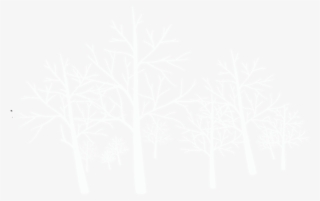 Winter Snow Png - Tree #4773432