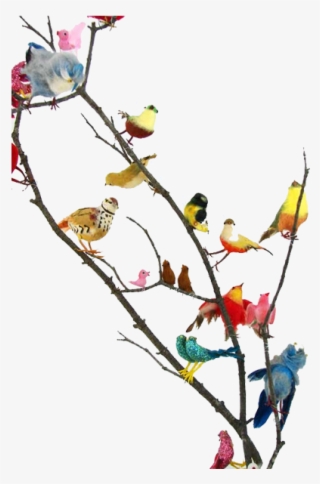 Party Flock What's Your Social Style - Vintage Bird #4775153 Party Flock What's Your Social Style - Vintage Bird #4775153