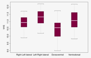 Vertebral Heart Size On Four Radiographic Views In - Diagram #4775236