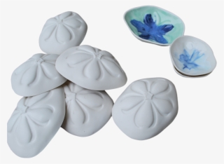 Sea Biscuit Bowl - Hydrangea #4776011