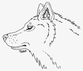 Wolf Head Png Transparent Wolf Head Png Image Free Download Pngkey