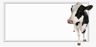 High Quality Milk Powder - Truth About The Food Supply #4777351