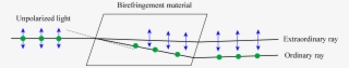 Ordinay Extraordinary Ray In Birefringence - Birefringence Ordinary Extraordinary #4779820