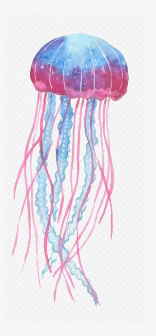 Box Jellyfish Png Transparent Image - Jelly Fish Png #4782186