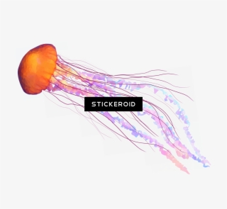 Jellyfish Animals - Jellyfish Tentacles Png #4782532