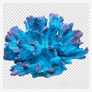 Coral Reef Clipart Stony Corals Coral Reef - Aquarium #4782896