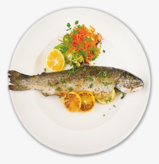 Fish - Fish Plate Png #4783029