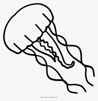 Superb Jellyfish Coloring Page 27 #4783415