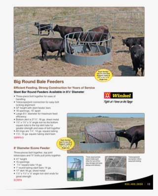 Water Buffalo #4783418