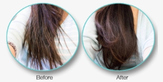 You Will Obtain Superior Results - Hair #4783692