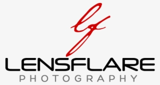 I'm A Commercial And Wedding Photographer Accepting - African Wild Dog #4784902