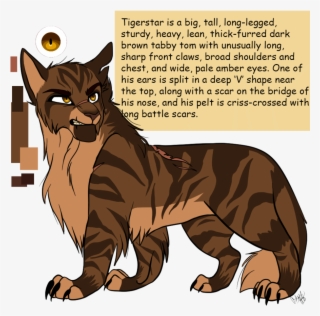 Cat With Broad Shoulders #4785155
