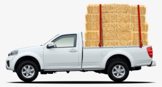 Steed-hay - South Carolina #4785322