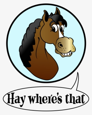 Horse #4785885 Horse #4785885