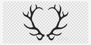 Black And White Elk Antlers #4786055