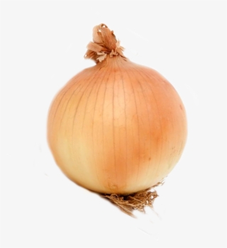 Onion #4786217