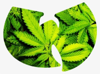 Must Not Sleep, Must Warn Others - Illustration #4787649