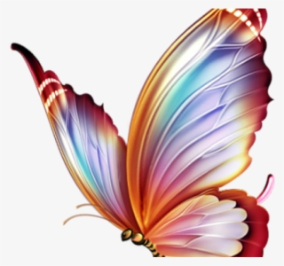 Butterfly Tattoo Designs Png Transparent Images - Colour Pencil Drawings Of Butterfly #4791841