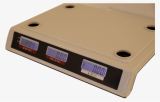 China 30kg Weighing Scale, China 30kg Weighing Scale - Gauge #4792027