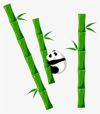 Bamboo Png - Bambu Png #4794037
