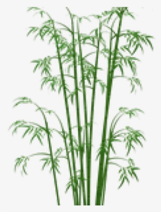 Bamboo Png Transparent Images - Bamboo Png #4794297