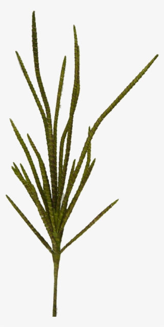 Green Willow Bamboo Bush - Bamboo #4794499