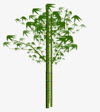 Bamboo Png, Download Png Image With Transparent Background, - Hinh Anh La Tre #4794874