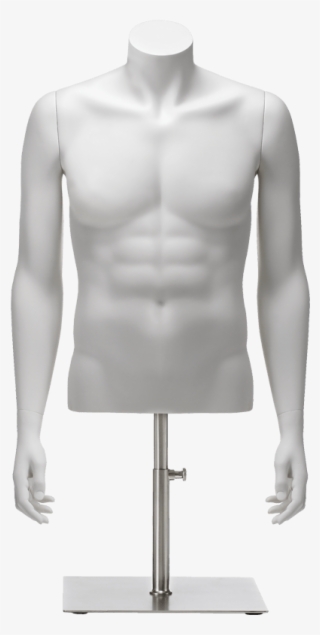 Clip In Torso Male A Arms - Male Bust Mannequin Png #4796796
