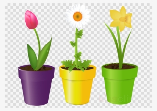 Download Flowers In A Pot Clipart Flowerpot Stock Photography - Flower In The Pot #4796961