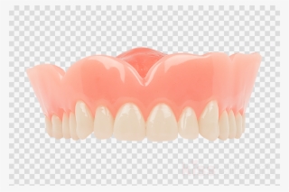 Dentistry Clipart Tooth Dentures Dentistry - Mango With Transparent Backgrounds #4797965