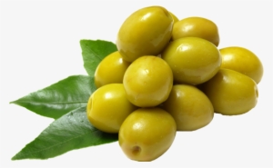 Olive Oil For Pregnant Women-specific Repair Stretch #481837